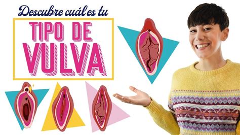 vajinas grandes|Tipos de vulvas y vaginas: conoce la tuya 